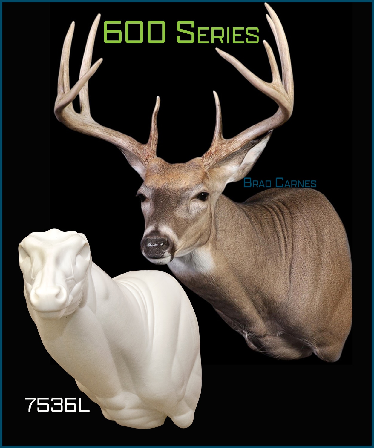 600-Series | Ohio Taxidermy Supply Inc.